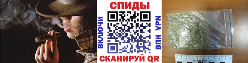 Купить где  Новоржев  Бутират Butirat 