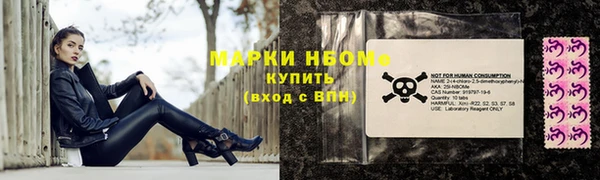 гашик Кинешма