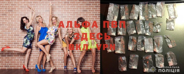 гашик Кинешма