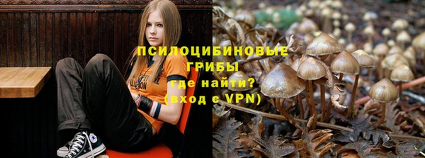 трава Киренск